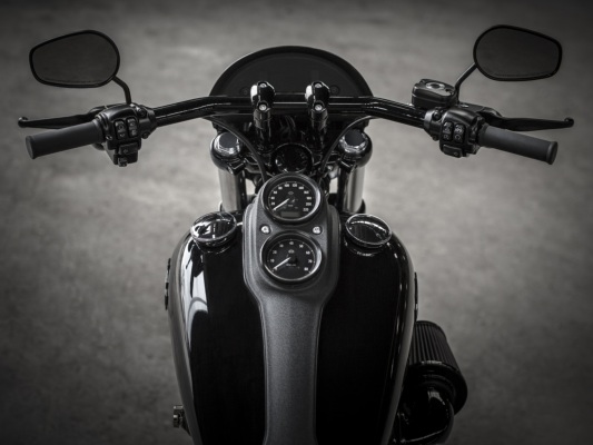 Фото мотоцикла Harley-Davidson Low Rider S
